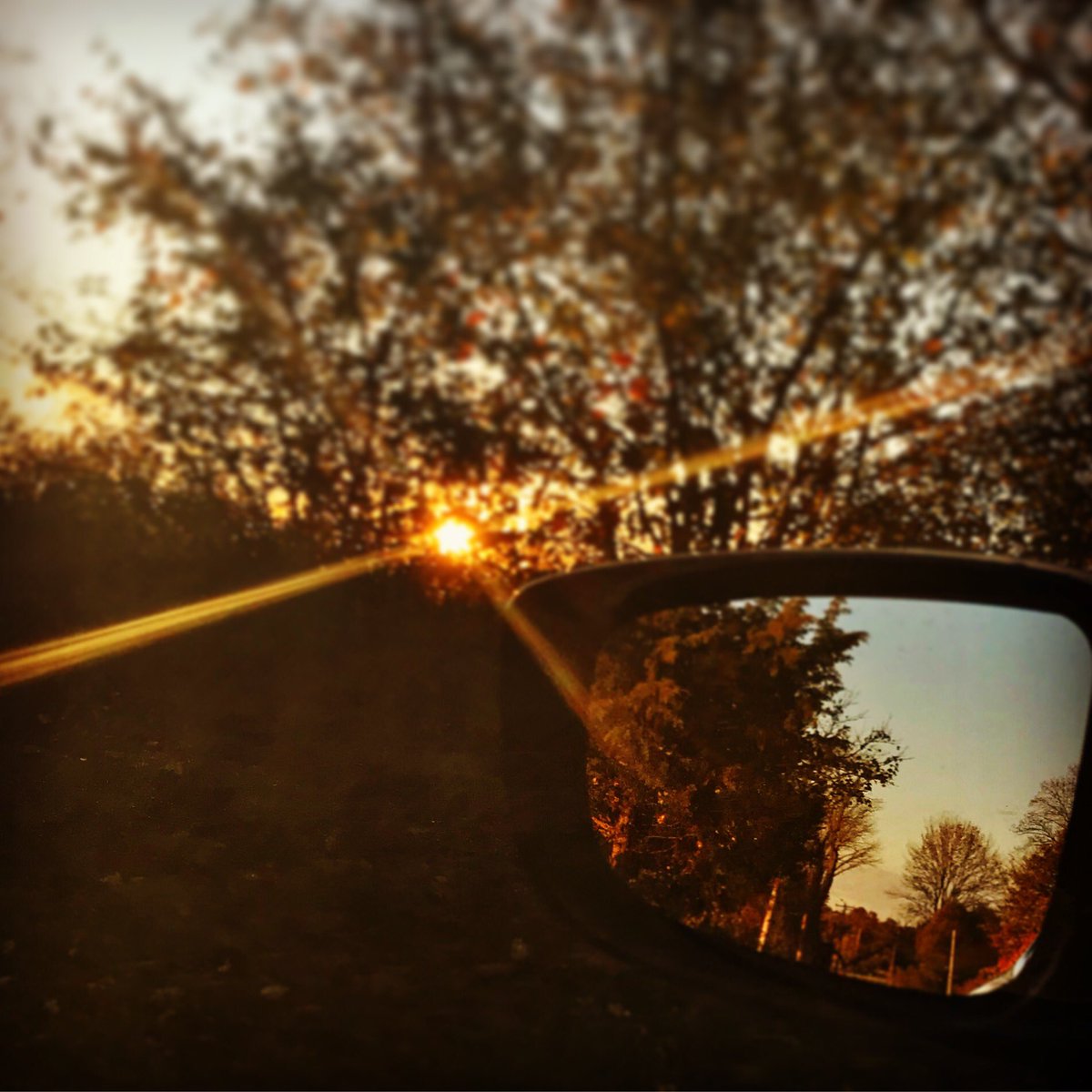 lilmissgiggles3's tweet photo. Love this picture I took on the way home from work. #ipulledover #sunsets #rearviewmirror https://t.co/lX0Siate6E