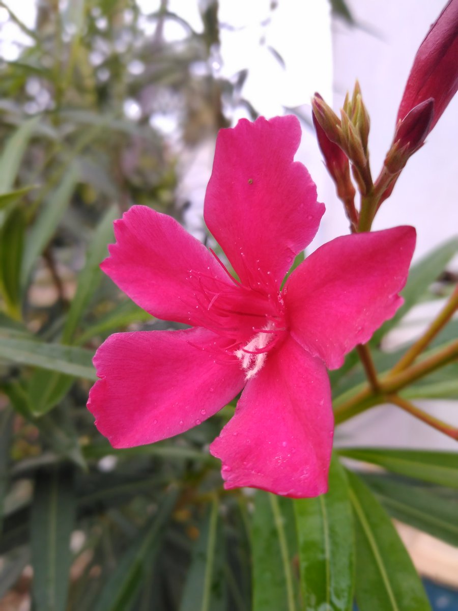 udaya_mc's tweet photo. மை க்ளிக்கு #tenorG https://t.co/TjWrnFguV9