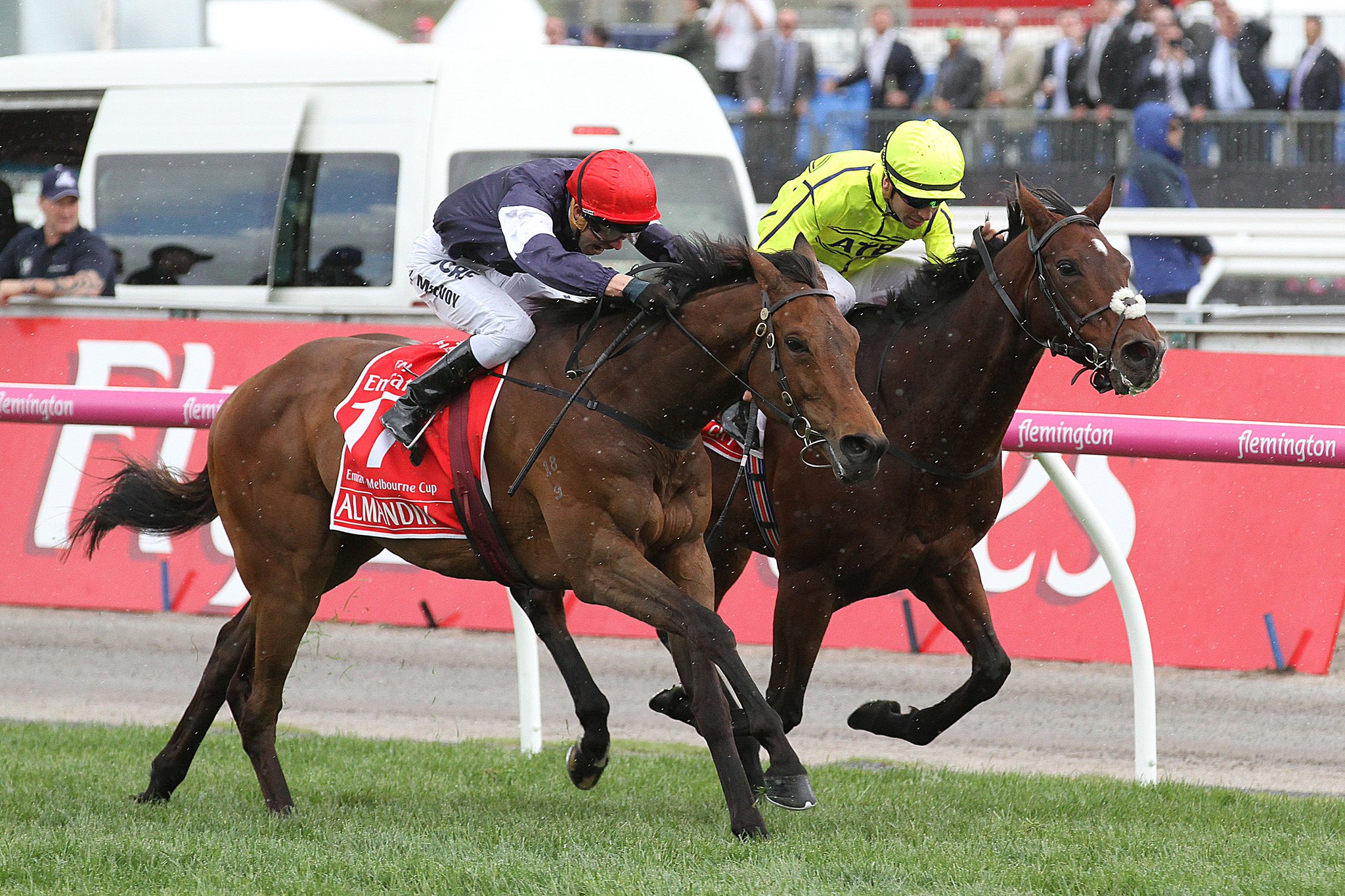 Melbourne cup odds betting Melbourne cup odds betting dish n dash menu