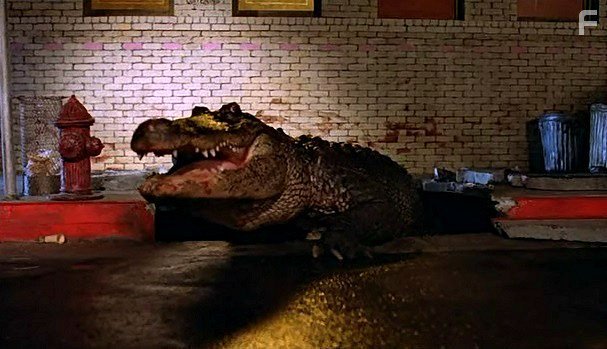 Un mycult al giorno! "Alligator" 1980 di Lewis Teague
Trailer: youtu.be/2QtAPFBdBtU