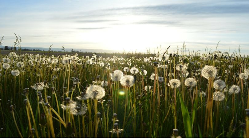 LivingMBA tweet media