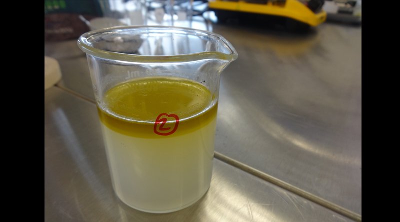 KexAlimentos's tweet photo. Tecnologías innovadoras para la producción de aceite de aguacate.
https://t.co/UHE6AoqR2t https://t.co/W65fKcGrUJ