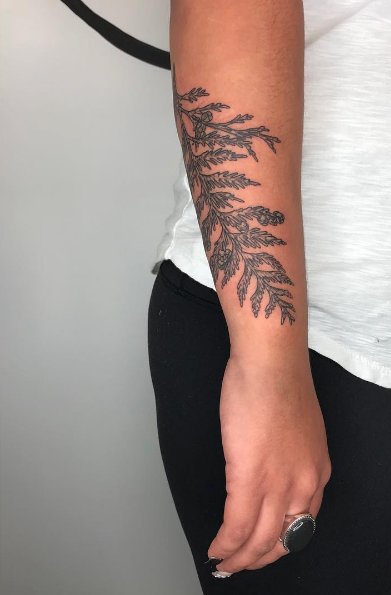 Adrenaline Vancity tweet media