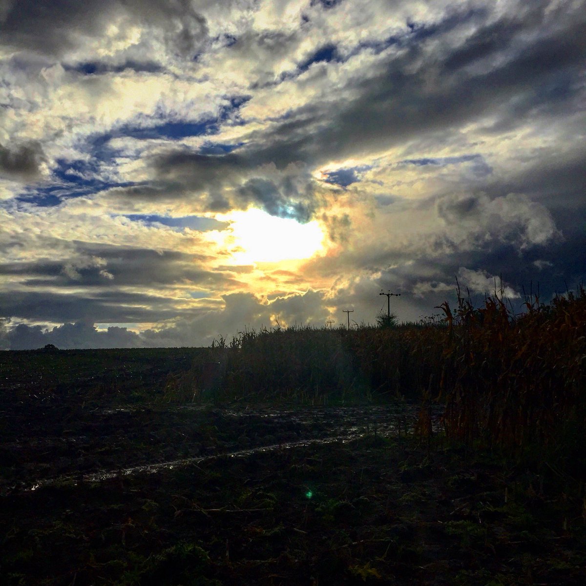 There's nothing like the peace of the countryside, the quiet and the lack of distraction. It helps one to focus ones mind. #tranquility