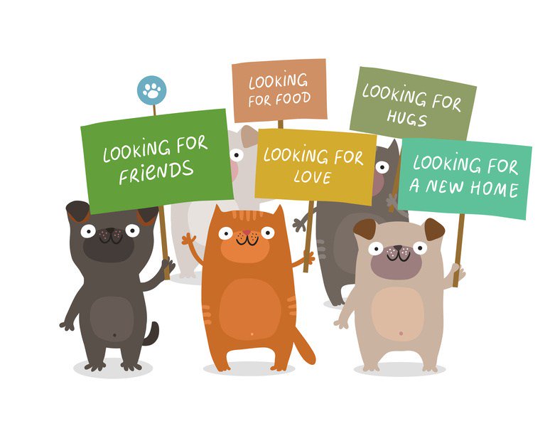 SPCA Germiston tweet media