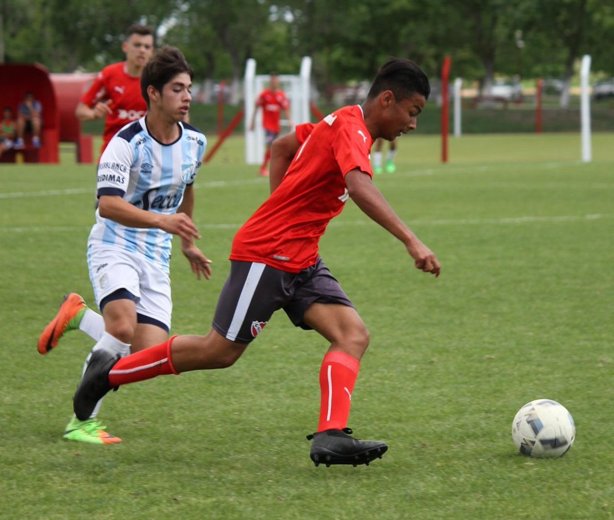 Finalizó el torneo de Inferiores