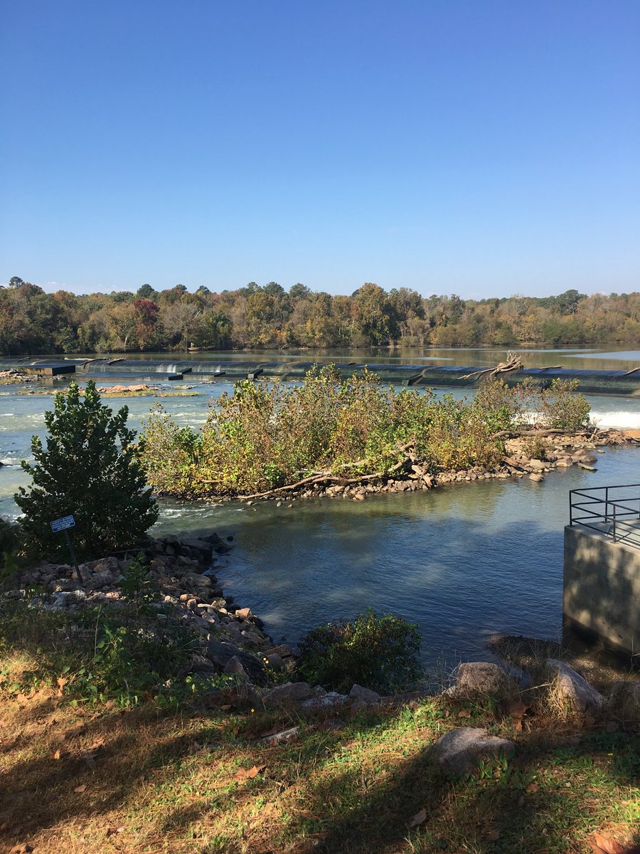 RunForRivers's tweet image. The Wildman has arrived in Columbia!
