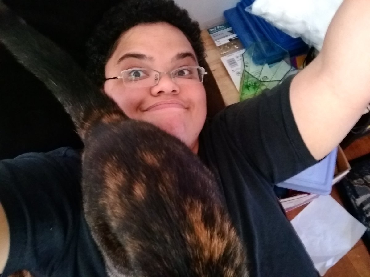 smolwritercrab's tweet photo. And the finale before a fuzzbutt got ejected #catwhy #mywordcount https://t.co/LhrhjcTKLb