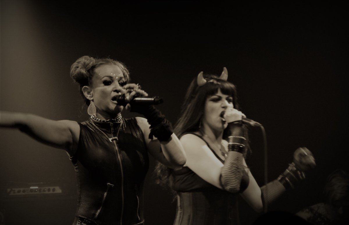 Venus In Furs tweet media