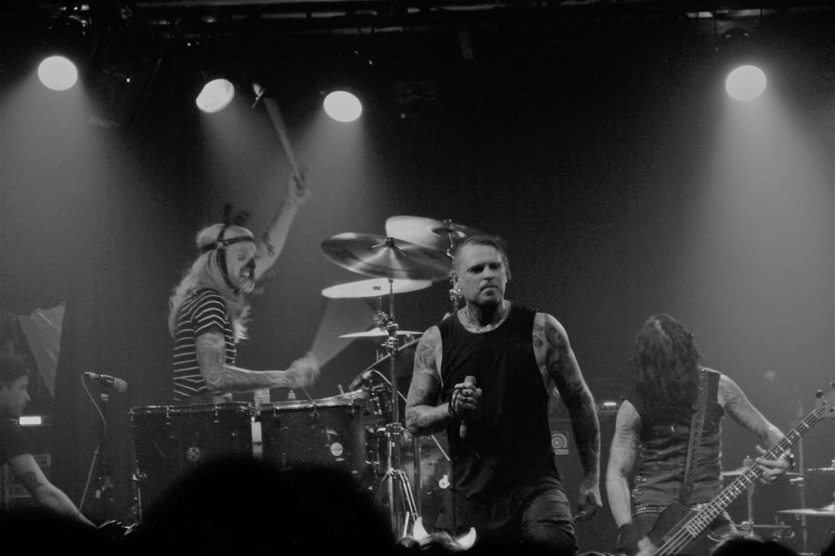 Venus In Furs tweet media