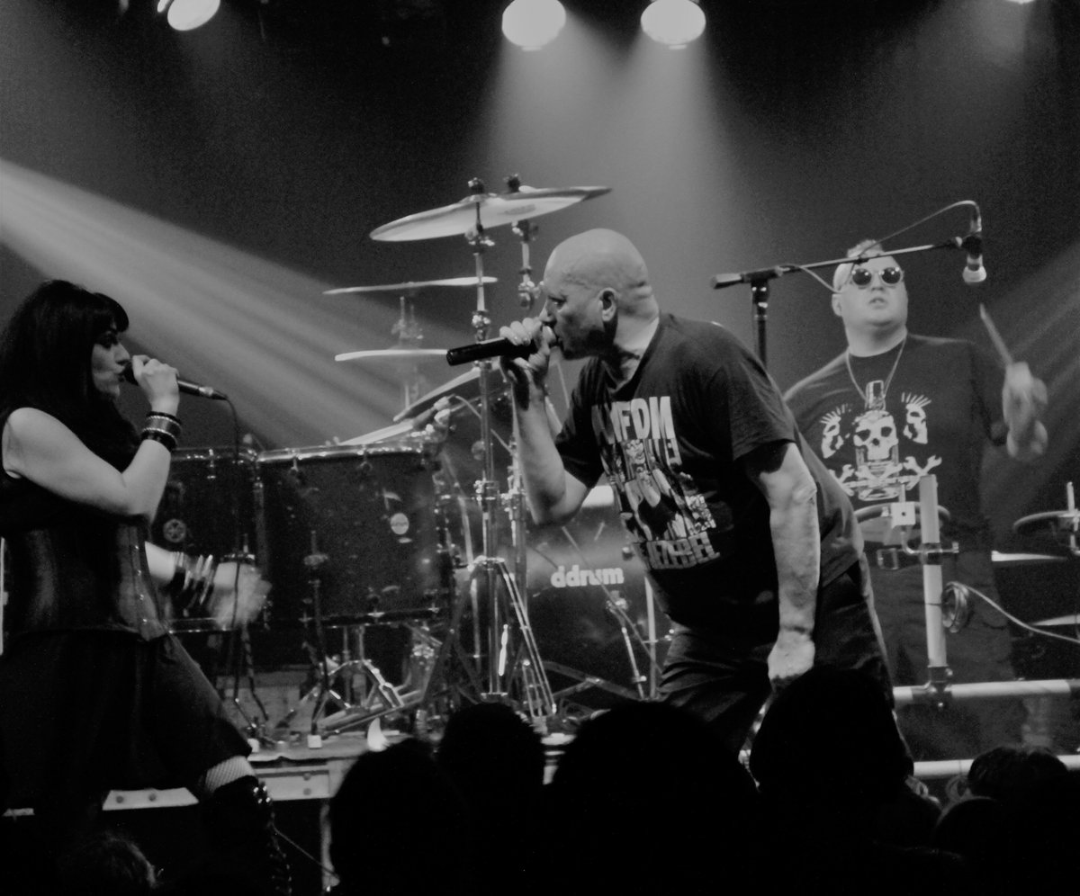 Venus In Furs tweet media