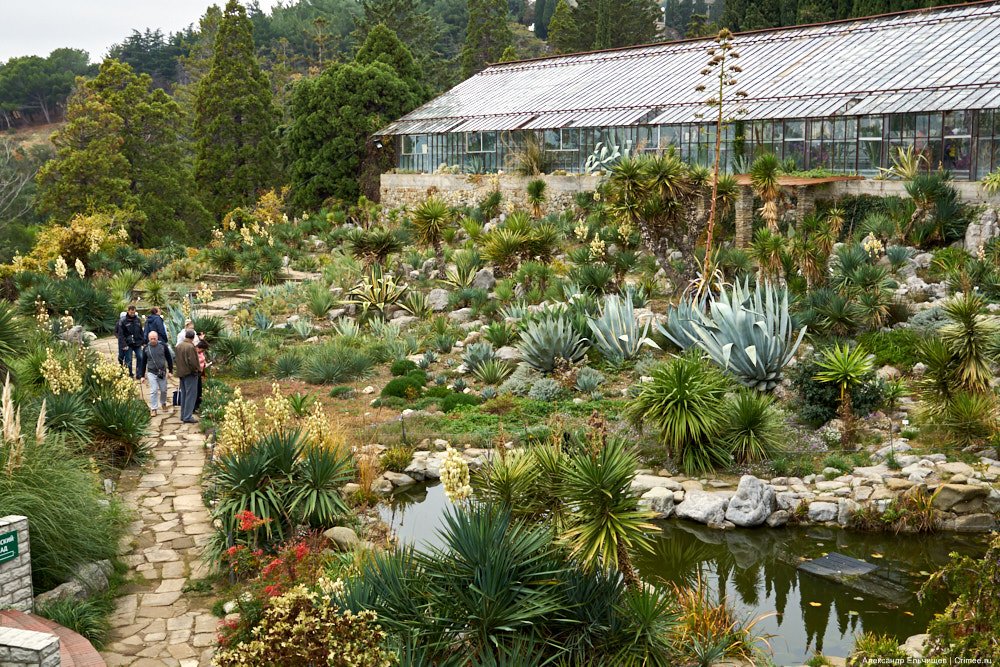 Парк монтедор никитского ботанического сада Парк монтедор никитского ботанического сада