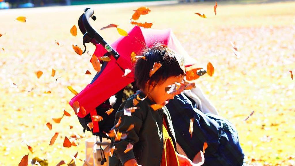 shibakyo's tweet photo. 紅葉狩り行って枯葉で遊んできた。
#photo #photography #photooftheday #camera #olympus #olympusomd #omdem5 #popmode #sigmaart #sigma60mm #tochigi #真岡 #井頭公園 #twitter https://t.co/tB8ylpbVcb https://t.co/WpmfLgpc3g