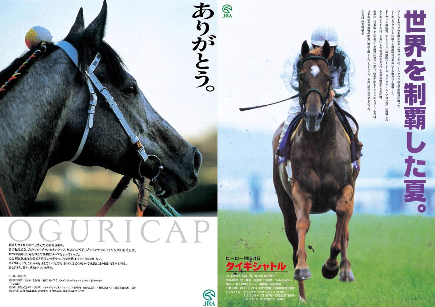 JRA FUN CLUB on X: 