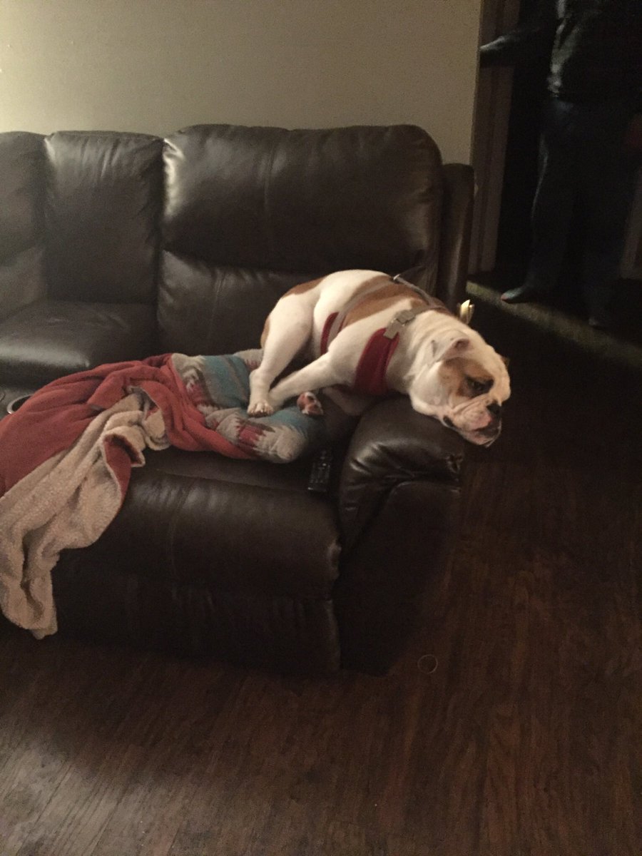 Lilly Miller tweet media