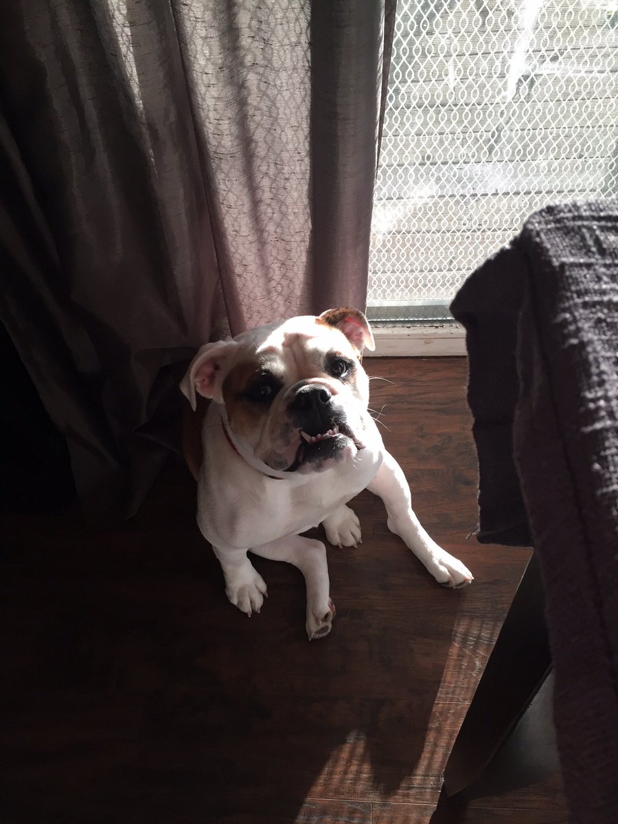 Lilly Miller tweet media