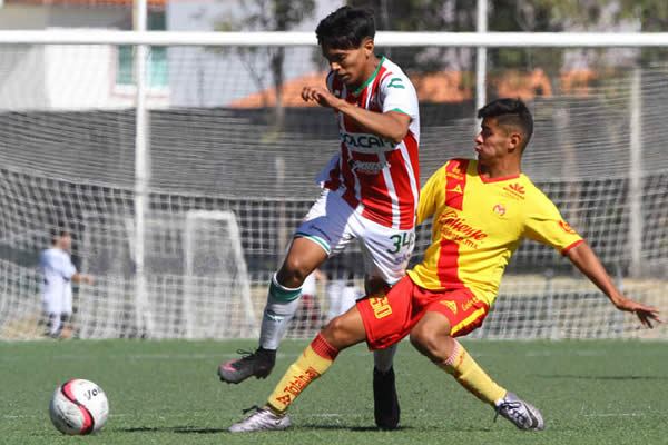 784Noticias's tweet photo. MONARCAS SUB17 CAE ANTE RAYOS https://t.co/q035F5uE7P https://t.co/EtdICjFxsU
