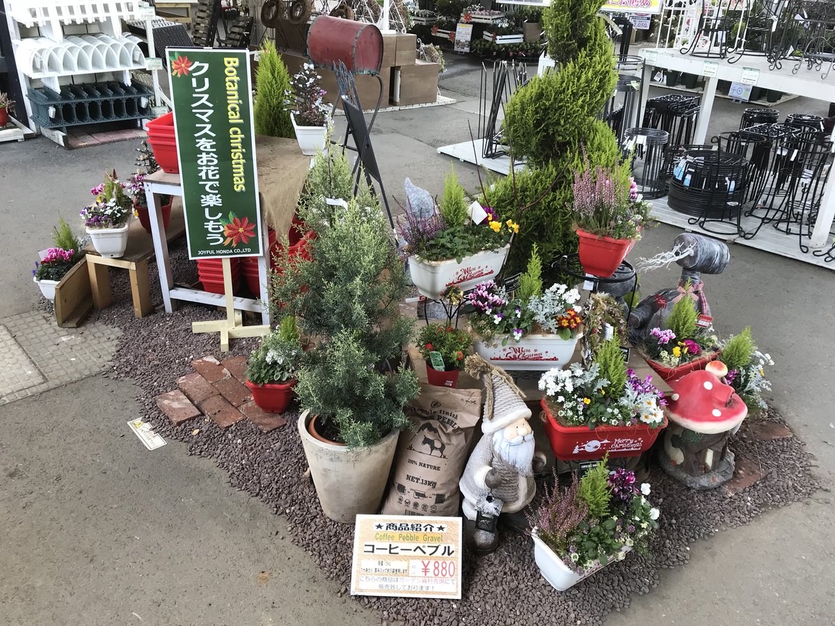 ジョイフル本田 ガーデンセンター A Twitter ガーデンセンター宇都宮店 クリスマスをお花で楽しんでみませんか 当店ではオリジナルのクリスマス寄せ植えを販売しています 玄関先やお庭に飾ってオシャレにクリスマスを楽しもう クリスマス 寄せ植え