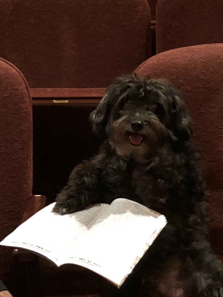 Who’s who Porridge? Who’s who? @RTC_NYC #rtcconways