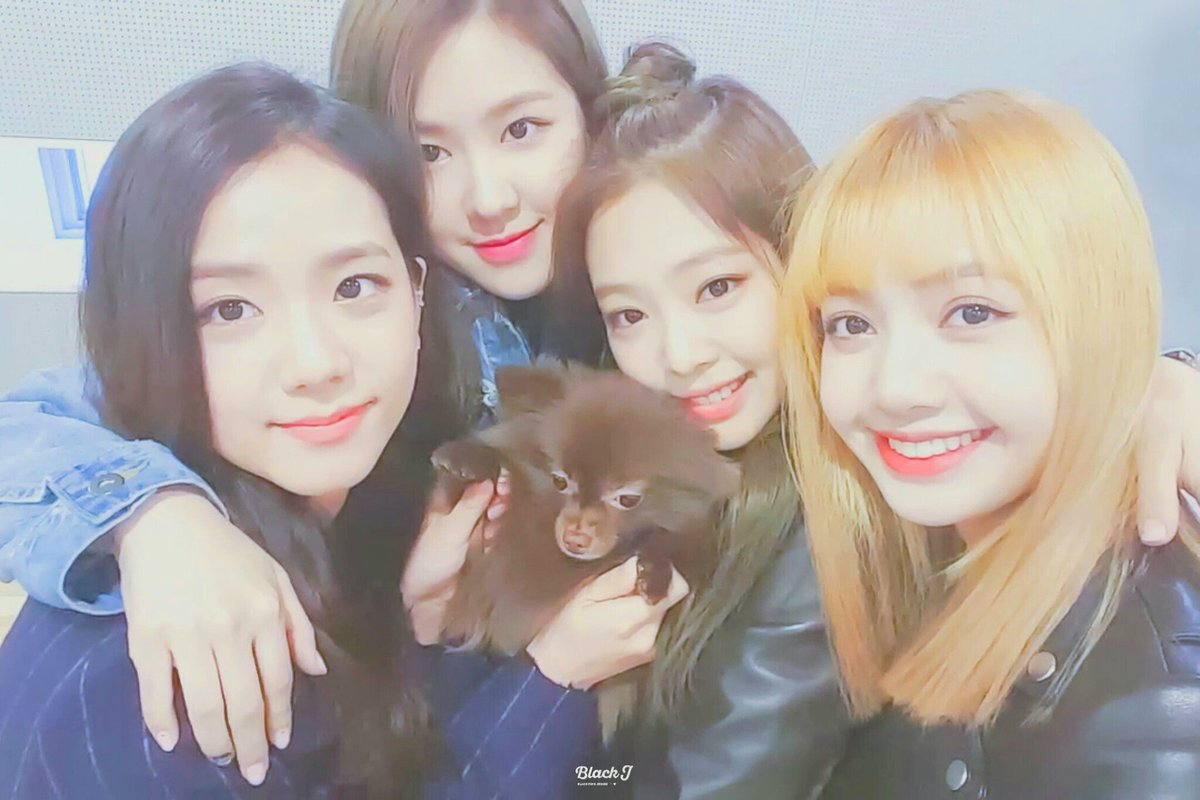 00rose17's tweet photo. 🐤00line

🐤ロゼよりのall

🐤九州BLINK

#BLACKPINK 
#BLINKと繋がりたい
#BLACKPINK好きな人と絡みたいのでこれを見た人はRT 
#フォローしてくれた人全員フォロー https://t.co/ytzhmnRv4B