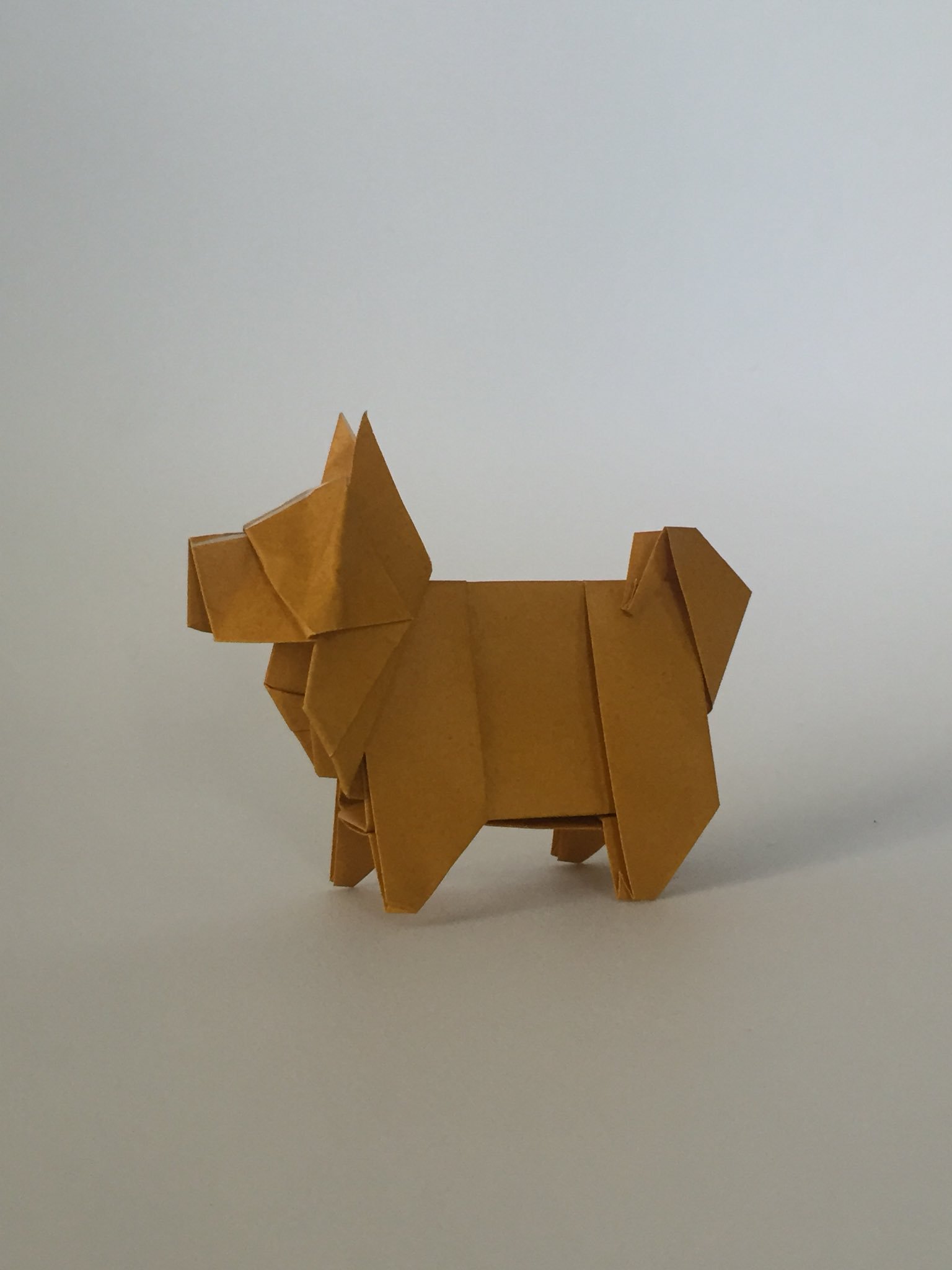 折り紙職人 Twitterissa 日本犬 やまぐち真さん作 折紙探偵団マガジン134号 より シンプル動物シリーズ 15 折り紙使用 簡単に作れるので これはいい 折り紙作品 T Co Rjdy6xcohz Twitter