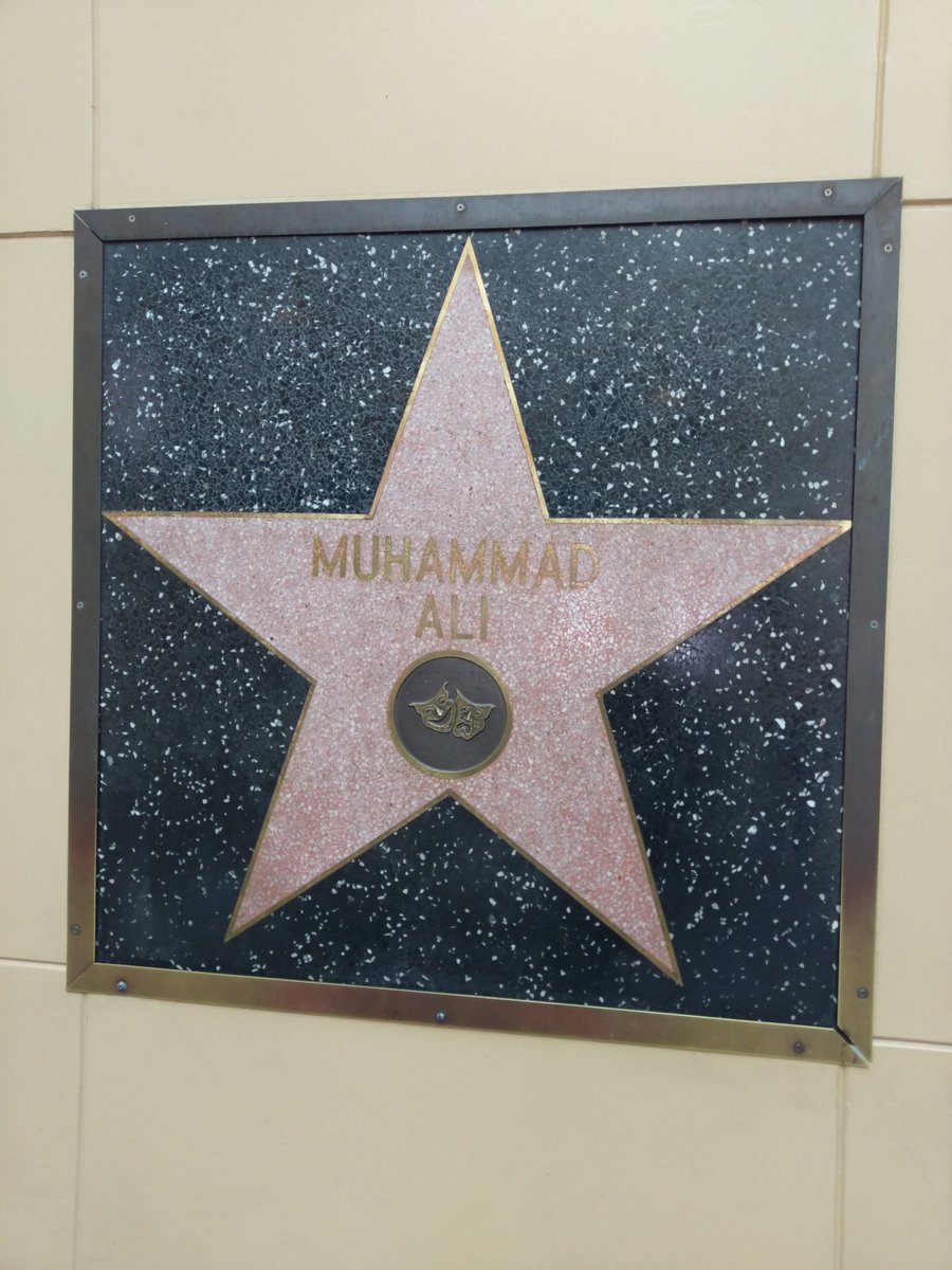 Bjergsen's tweet photo. Having a good time showing my family all around LA before starting my practice for All-stars 🙂

Went to Hollywood's walk of fame for the first time though and found the GOAT hanging on the wall 👑 https://t.co/2q0isDMig0