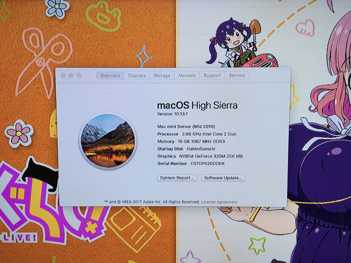 mirachanbloom's tweet image. 2010年のMac miniでmacOS High Sierraを使うのはきつい.....
#macOSHighSierra 
#macmini
#macmini2010