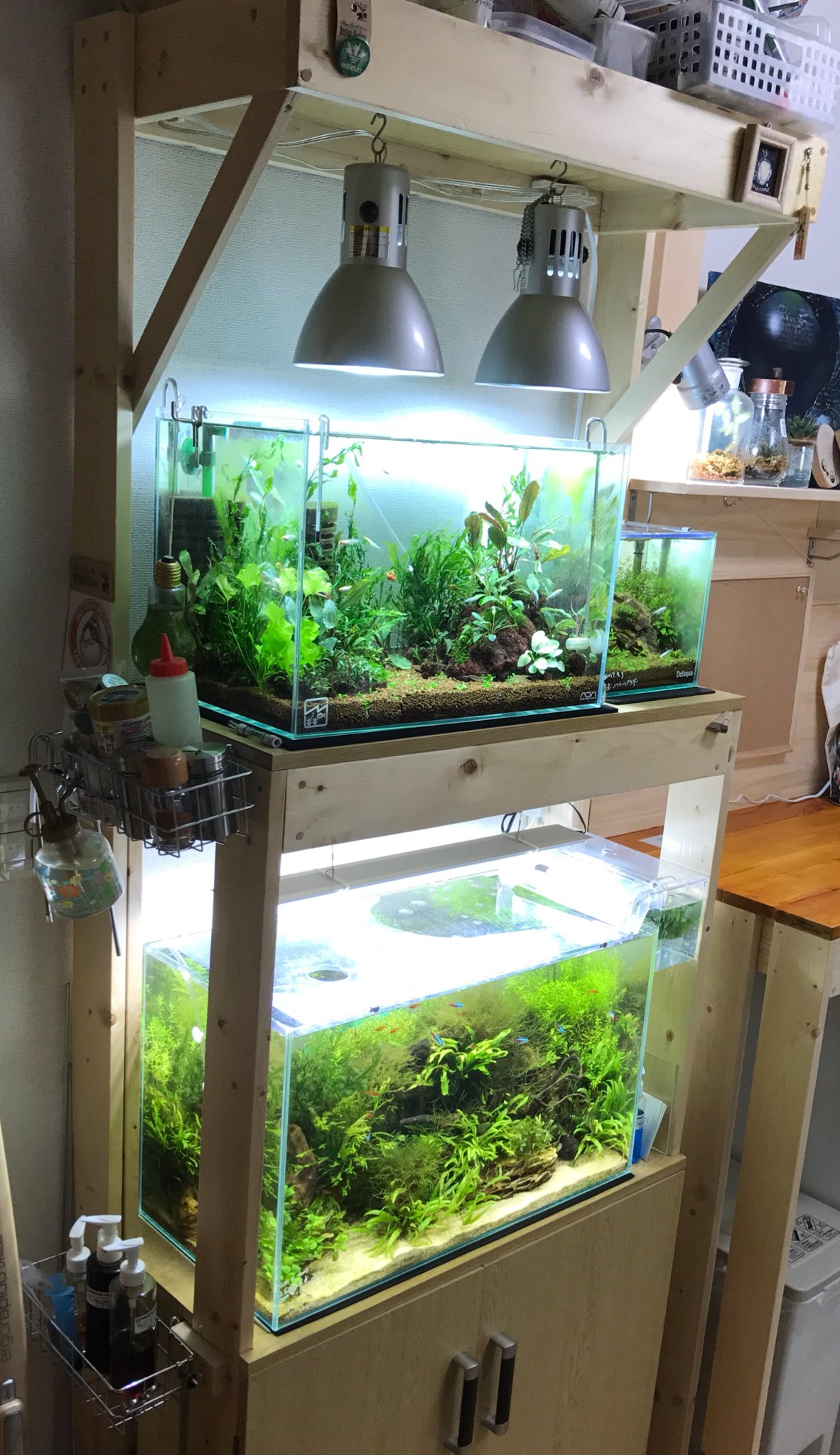 Yuki ゆーき メタルラックをやめて 2 4材で2段 1段 水槽台作りました 水槽台自作 Diy Aquarium アクアリウム T Co Nao6np3nhd Twitter Yuki ゆーき メタルラックをやめて 2 4材で2段 1段 水槽台作りました 水槽台自作 Diy Aquarium アクアリウム T Co Nao6np3nhd Twitter