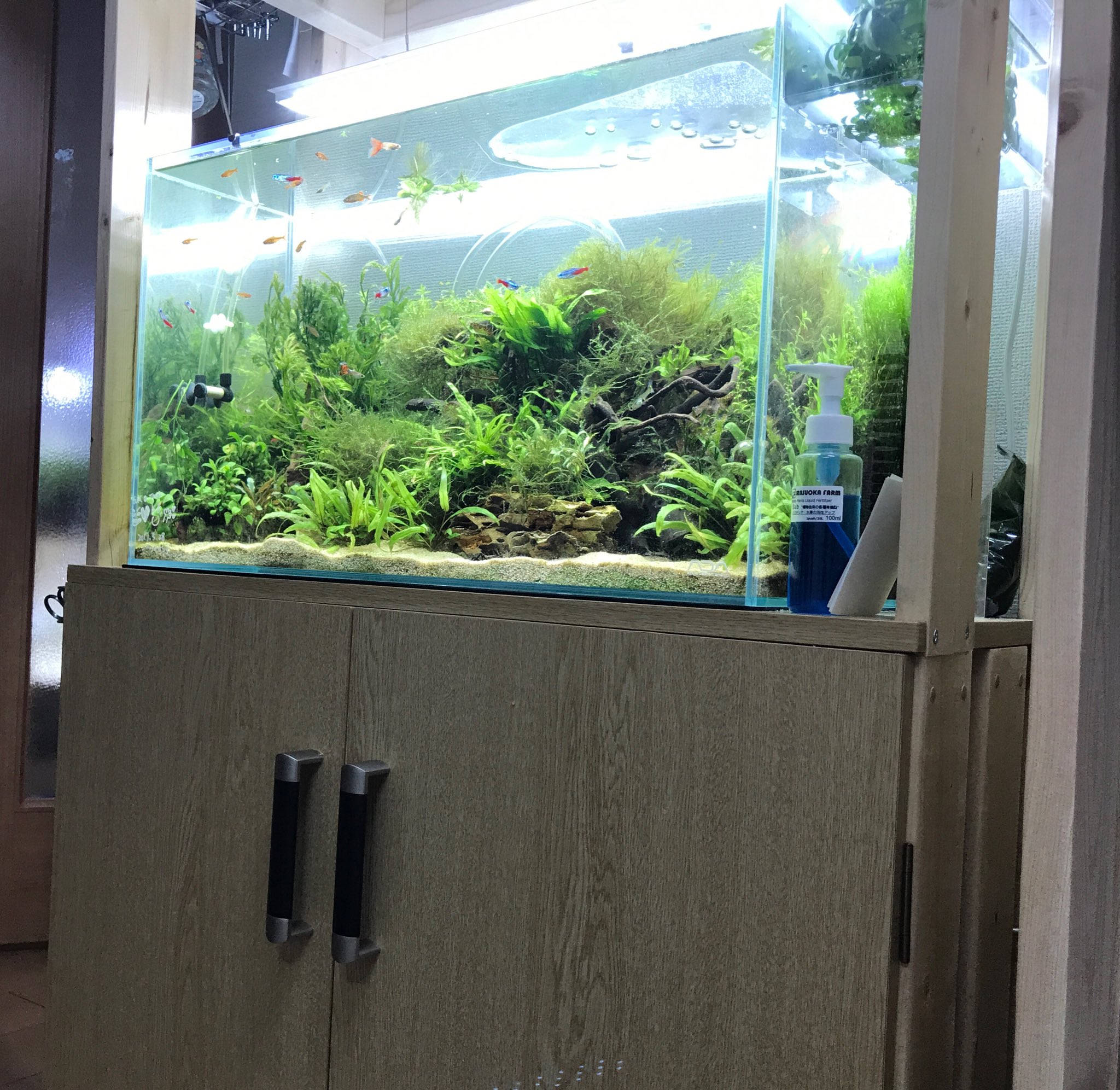 Yuki メタルラックをやめて 2 4材で2段 1段 水槽台作りました 水槽台自作 Diy Aquarium アクアリウム Yuki メタルラックをやめて 2 4材で2段 1段 水槽台作りました 水槽台自作 Diy Aquarium アクアリウム