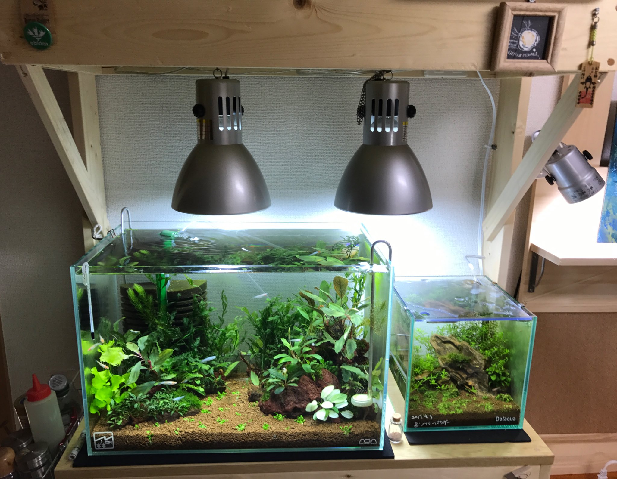 Yuki メタルラックをやめて 2 4材で2段 1段 水槽台作りました 水槽台自作 Diy Aquarium アクアリウム Yuki メタルラックをやめて 2 4材で2段 1段 水槽台作りました 水槽台自作 Diy Aquarium アクアリウム