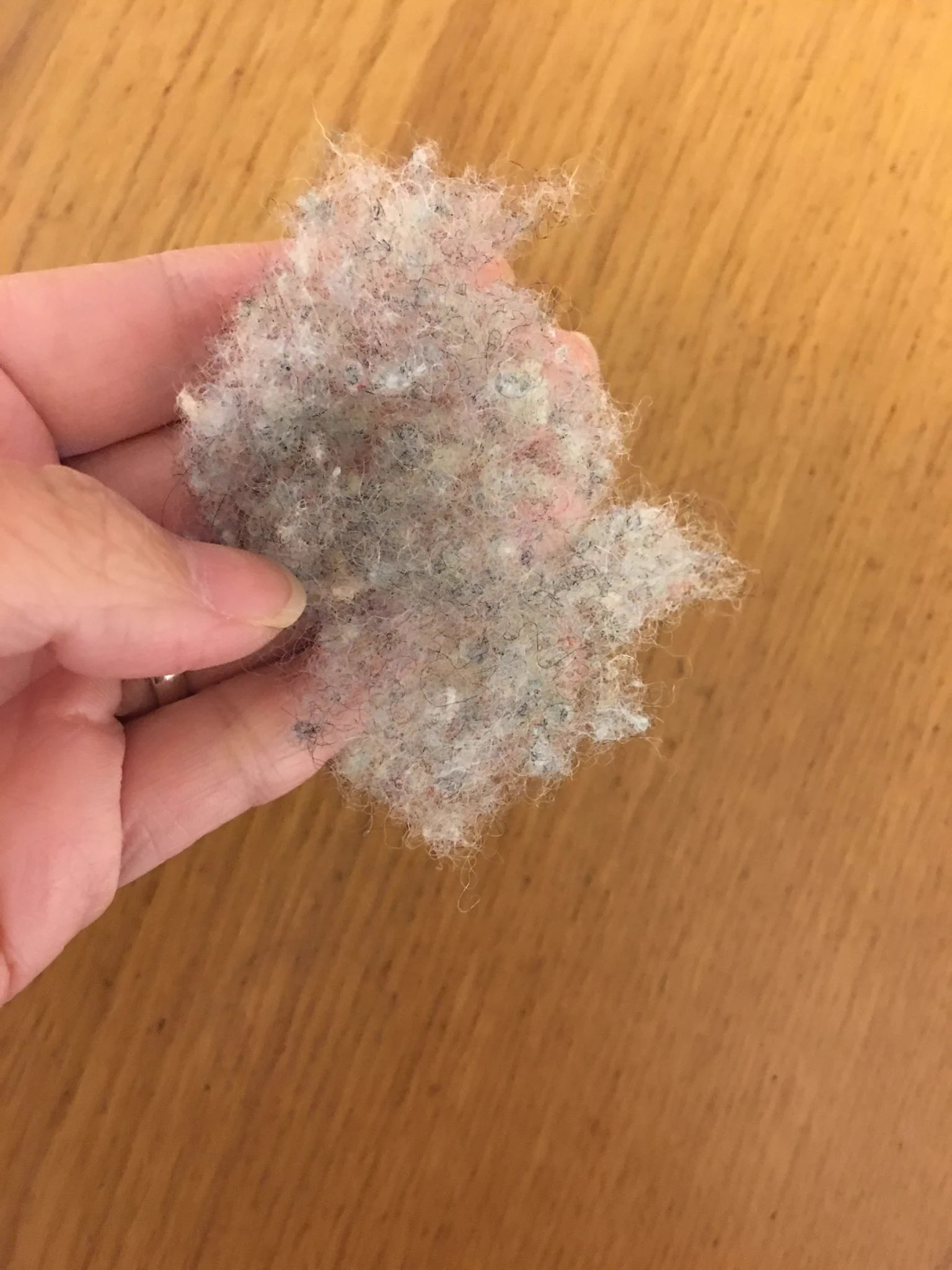 これからの季節にぴったり？！クリーニング屋直伝の毛玉取り