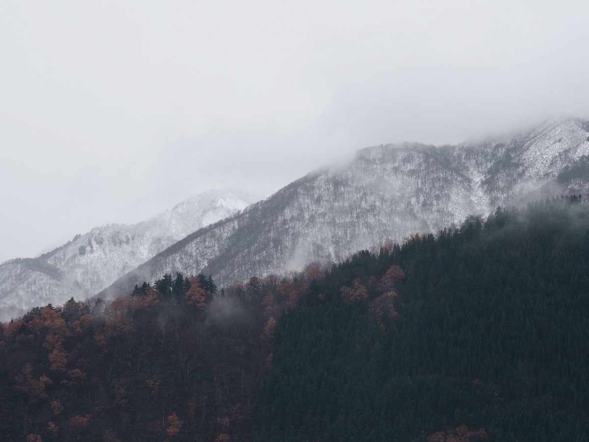 gida_gida's tweet photo. はじめての白川郷。秋と冬の境だった。🍁❄️ https://t.co/47KyczKKRk