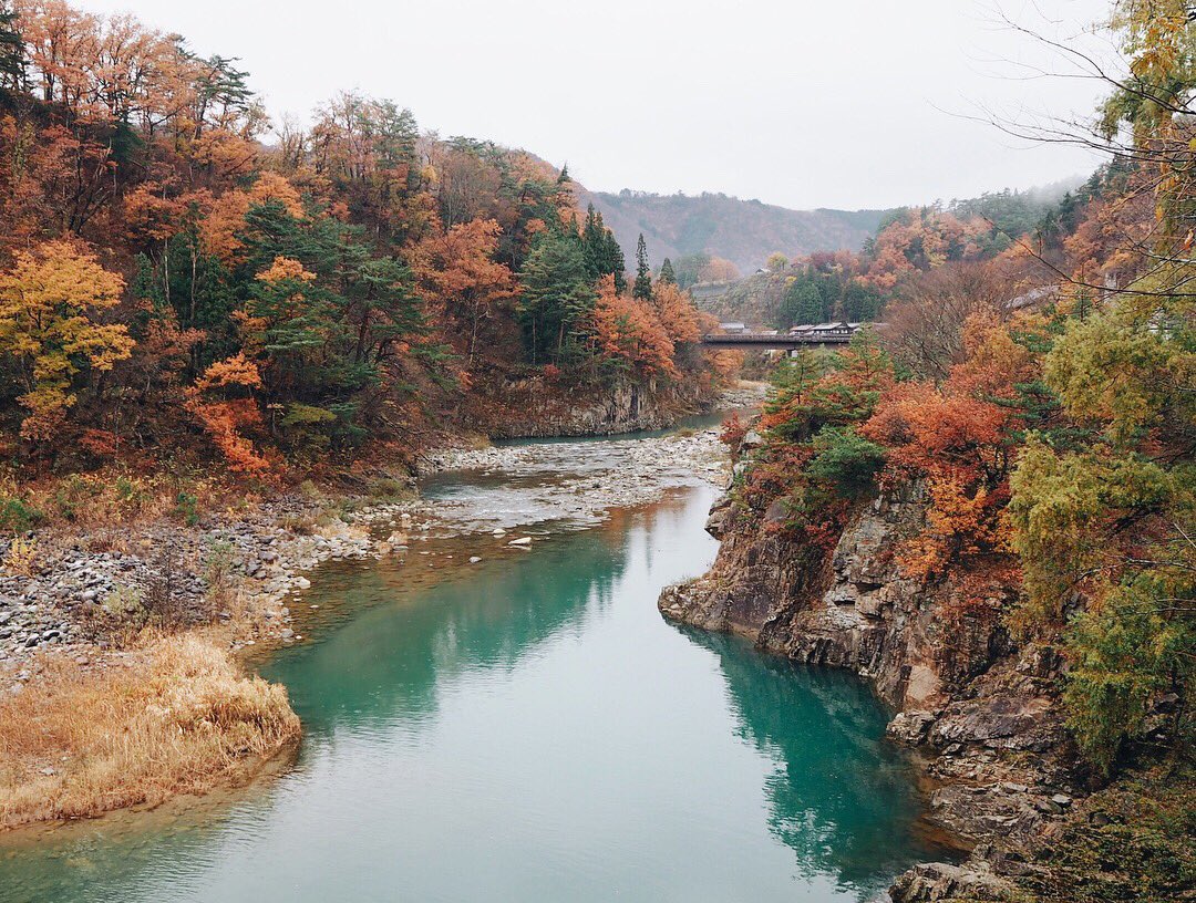 gida_gida's tweet photo. はじめての白川郷。秋と冬の境だった。🍁❄️ https://t.co/47KyczKKRk