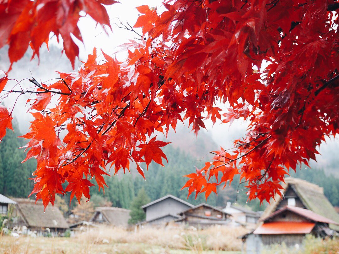 gida_gida's tweet photo. はじめての白川郷。秋と冬の境だった。🍁❄️ https://t.co/47KyczKKRk