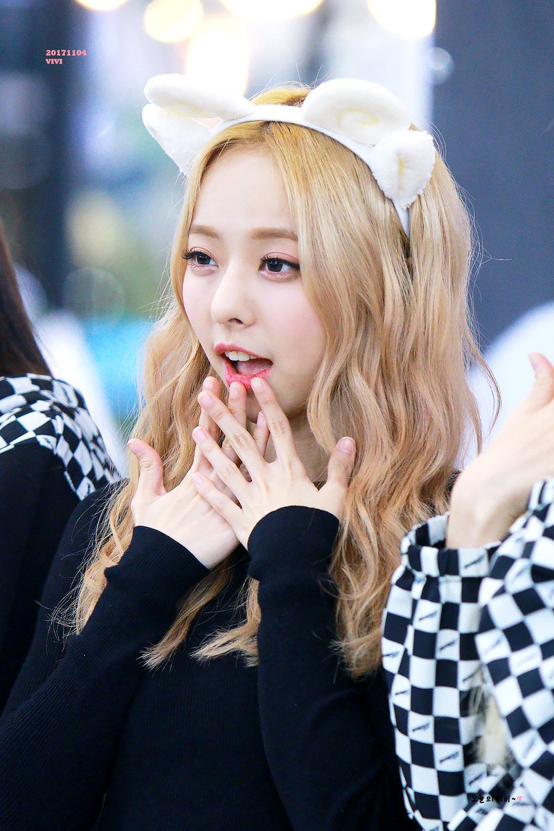 오늘의 비비 tweet media