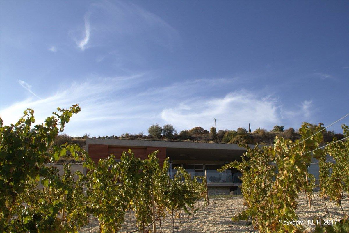 On today  #openwinerydoors 
Slow november calls for resourcing - wineries have it #enjoycypruswine - Join bit.ly/OpenWineryDoors #wineweekend