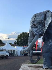 uwc_ea's tweet photo. This is so sad to see! We will be fighting for elephants with our #CAS Sparkiling Elephant Project #SparkilingElephantProject https://t.co/w1K7Y9iRoV https://t.co/qpARCel85L