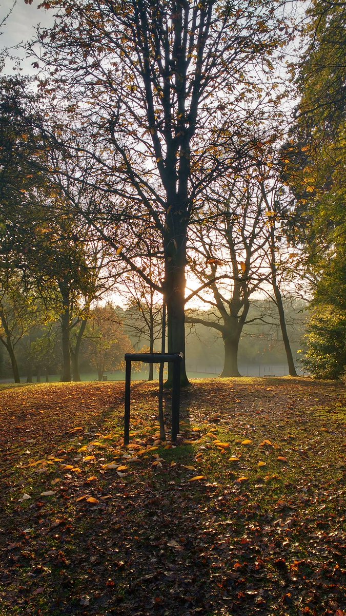 Late autumn colours in Worcester - taken by our amazing colleague Matt #frosty
