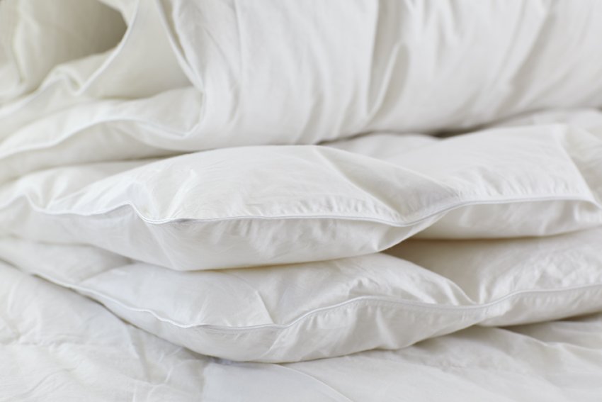 dusaluk's tweet photo. Our top of the range duvet is filled with velvety soft 100% Hungarian goose down clusters that will melt away the stresses and strains of the day! #sleepdelivered #duvet
https://t.co/Gnd6Os86F9 https://t.co/G7PjMg8X2O