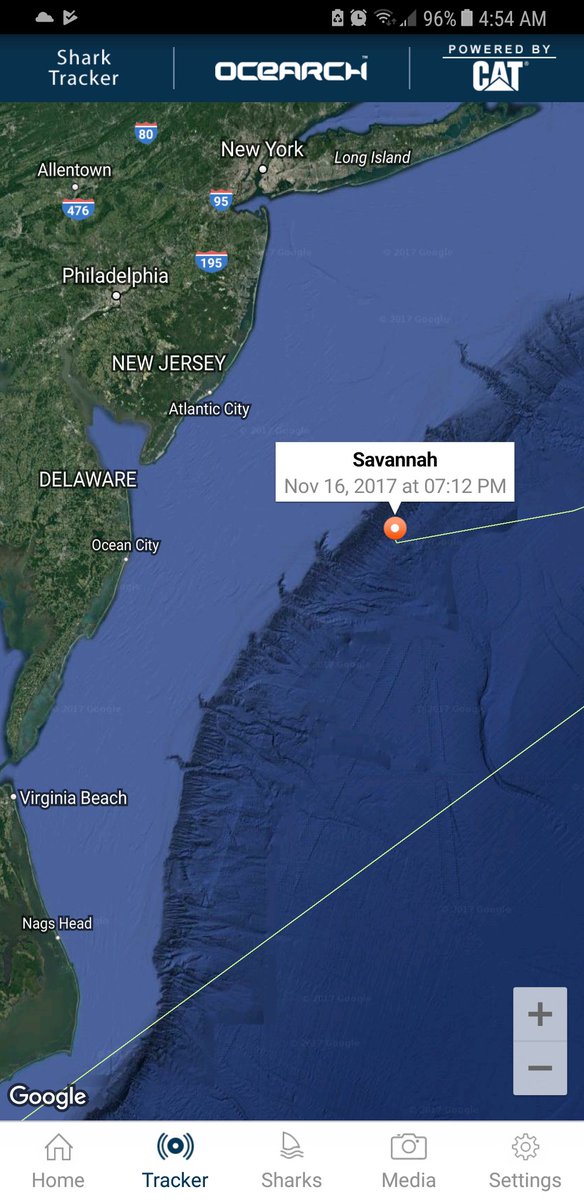 SharkSavannah's tweet photo. Pingin my way through the Mid Atlantic! #FinWave Hi Ocean City! I wonder if this shelf has continental breakfast. https://t.co/HSLAHMVYeq
