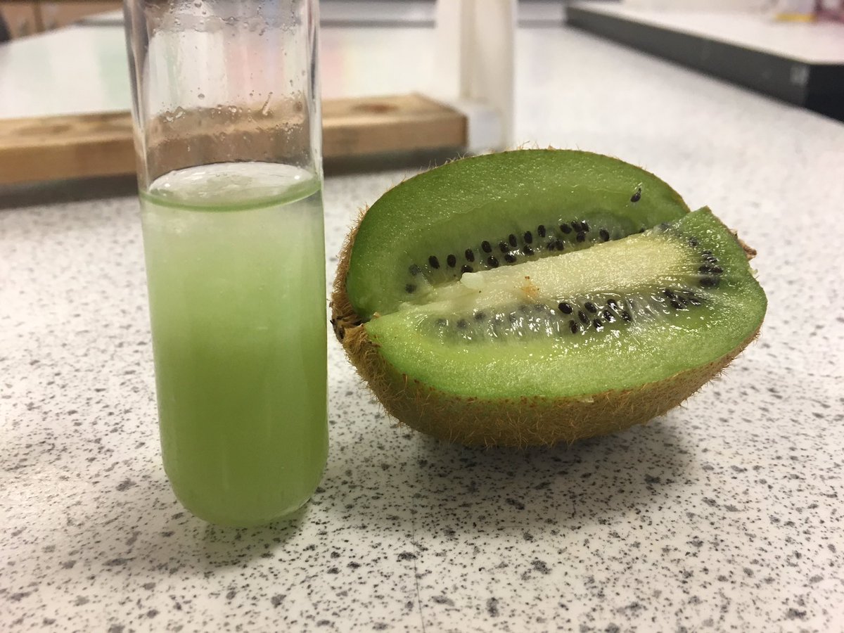 millburnbio's tweet photo. Some excellent DNA extraction from 1K today! #Deoxyribonucleicacid https://t.co/U9autI4Qnu