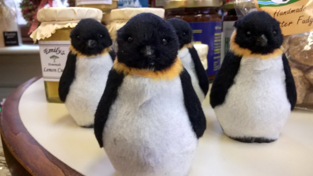 WorcesterTIC's tweet photo. We have a penguin takeover in the TIC shop #HappyFeet #Waddle #FeelingChristmassy 🎅🎄🐧 https://t.co/jSRqaJG55u