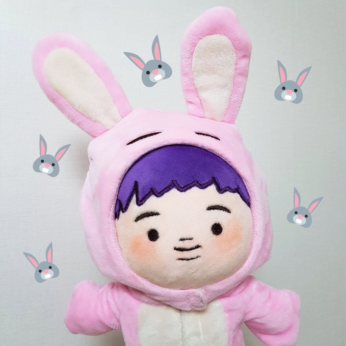 🐨🐰🐰🐰🐰🐨