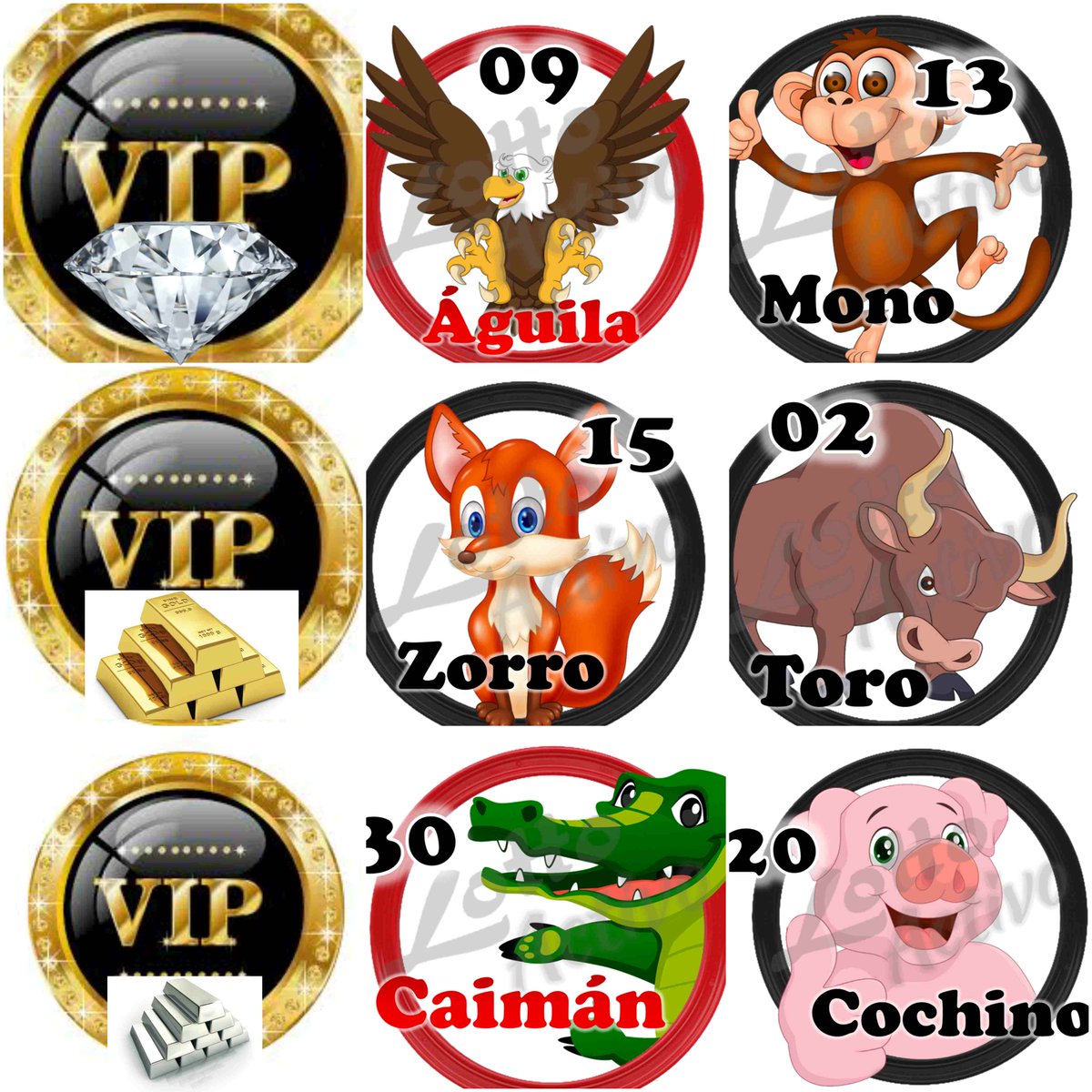 ligadateros2018's tweet photo. #DataZosVIP
VIERNES 17/11/17:
Diamante:09-13
oro:15-02
plata:30-20
EXITOS MI GENTEVIP
#lottoactivo
#lagranjitaofic
#DXavivip https://t.co/Wf6wyhQrCn
