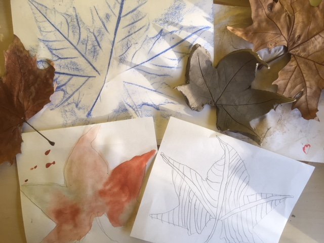 Experimenting with water colours, line drawing, making leaf rubbings and clay leaf plates. #autumn #conifersschool #linedrawing