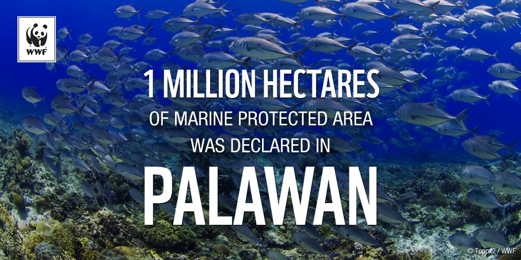 WWF's tweet photo. Another conservation milestone! An additional 1M hectares has been recently
implemented on top of another 1M-hectare MPA declared in 2016. #FridayFeeling https://t.co/wlb2lvmXny