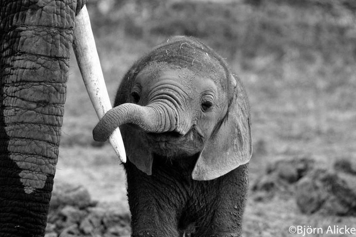 We must protect them. It is a testament to our humanity.