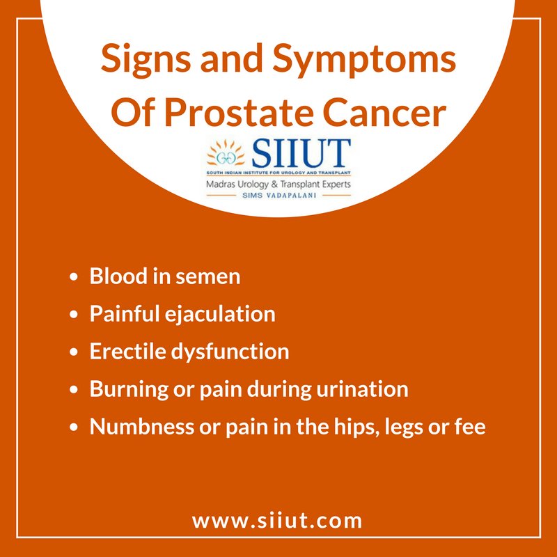 urologyhospita1's tweet image. Get to know the signs and symptoms of #Prostate_Cancer. For treatments, visit us @ siiut.com/prostate-cance…
#ProstateCancerRisks #ProstateCancerSymptoms #Chennai