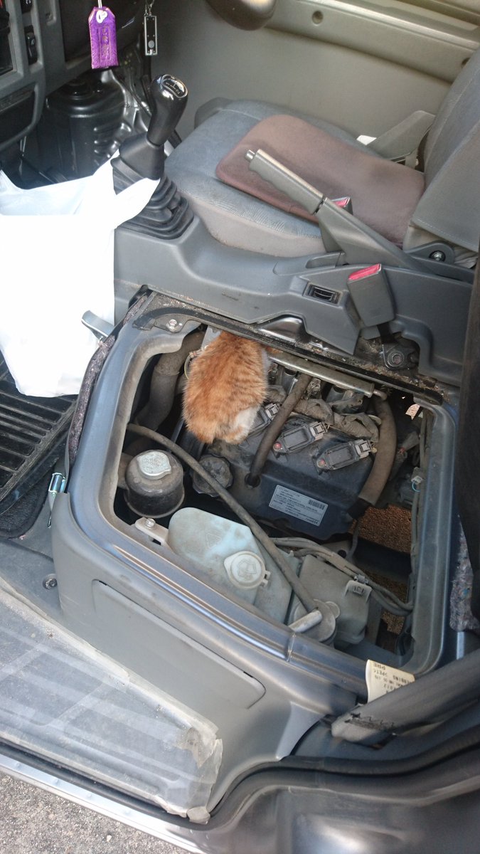 寒さで座席の下に入った猫ちゃんを発見 商業車の 猫バンバン 時は座席もバンバンして確認を ガールズちゃんねる Girls Channel