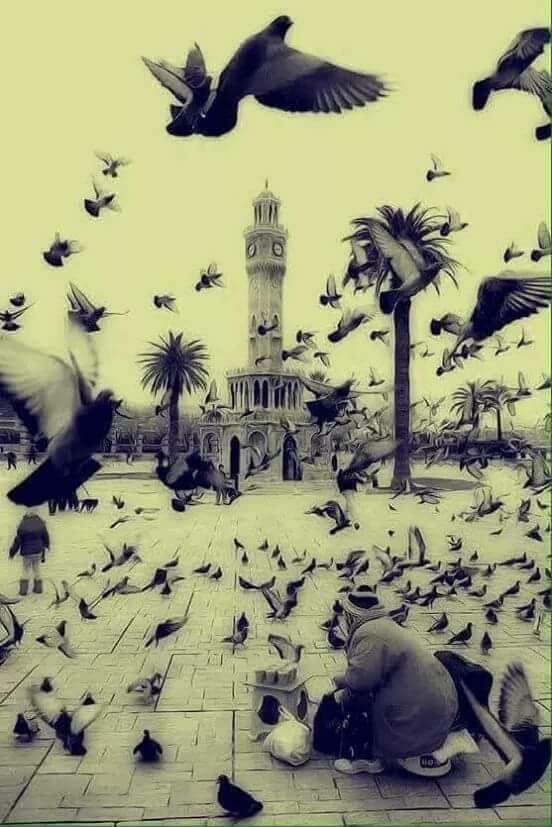 راقت لي الكلمات

لو كنت اضمن ان كل الطيور تهاجر اليكم...

لكنت كتبت على كل ريشة كم اشتقت اليكم...

رفقااااا..بقلوبنا..ياساكنيهااااا..